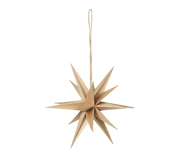 Venus Star Ornament