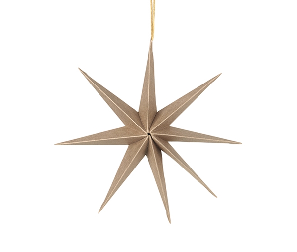 Star Ornament L