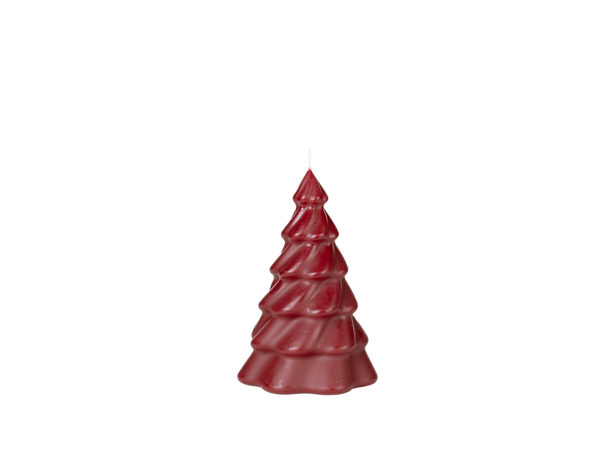 Pinus Christmas Tree Candle