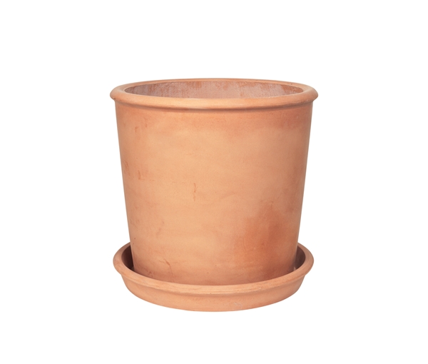 Rolf Planter