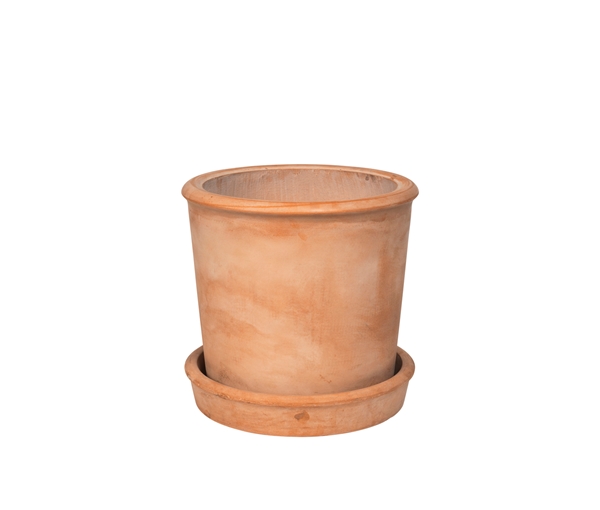 Rolf Planter