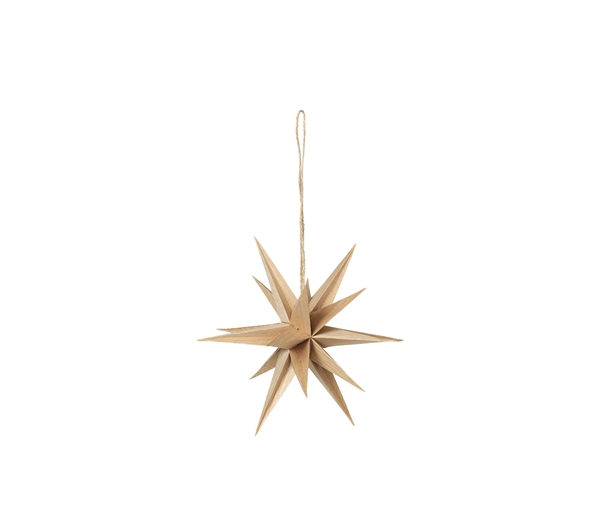 Venus Star Ornament