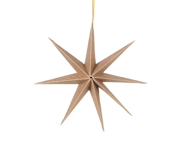 Star Ornament L